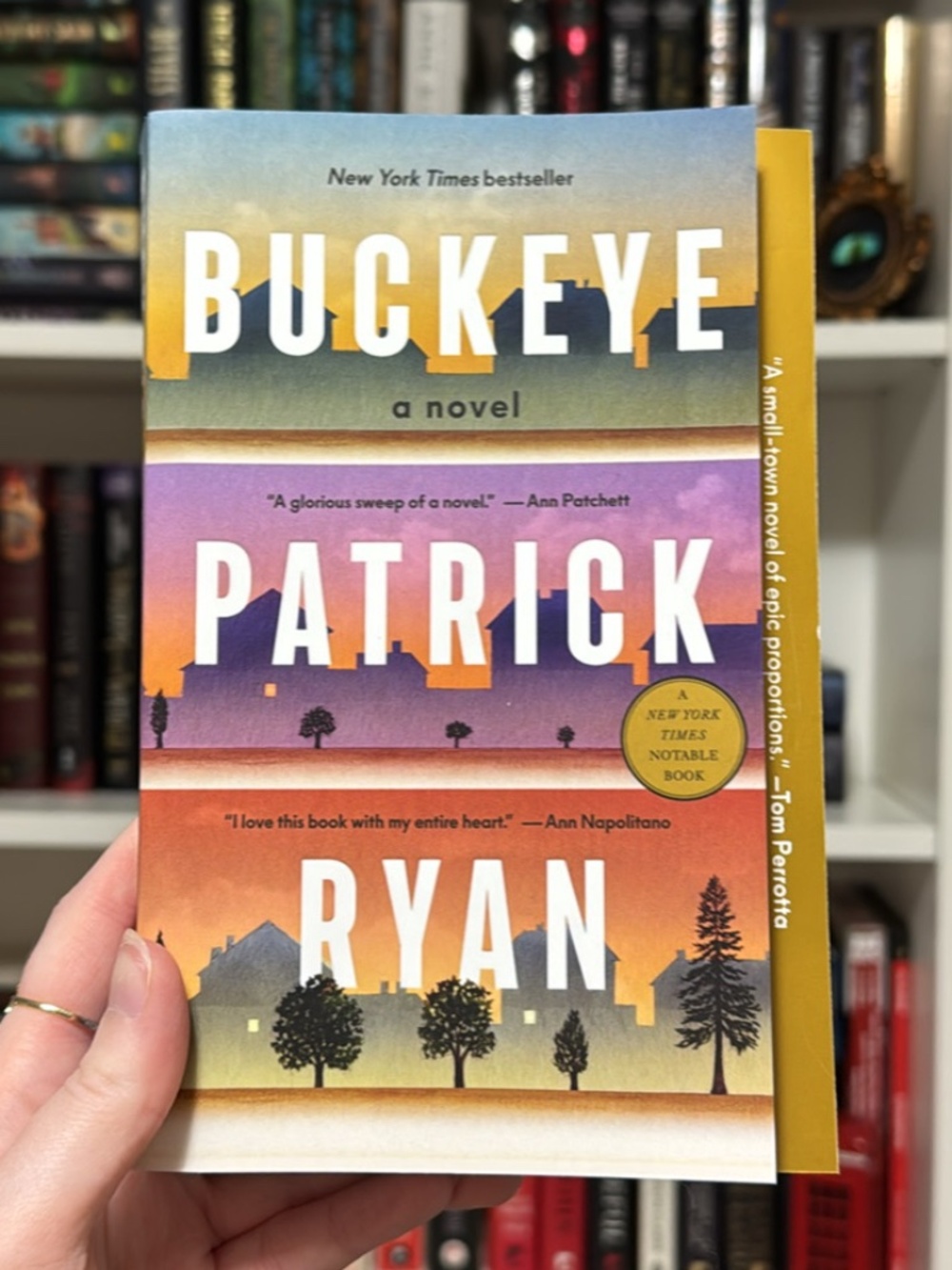 Fiction Book: Buckeye by Patrick Ryan